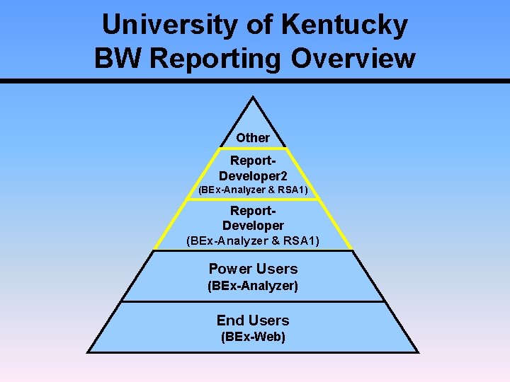University of Kentucky BW Reporting Overview Other Report. Developer 2 (BEx-Analyzer & RSA 1)