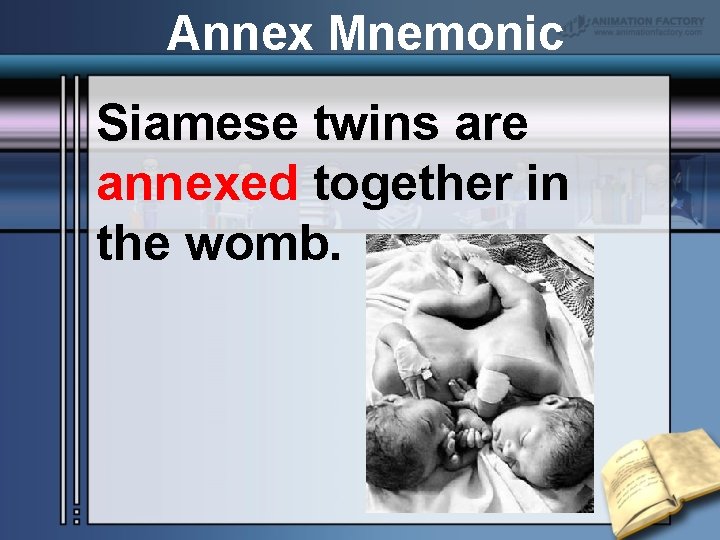 Annex Mnemonic Siamese twins are annexed together in the womb. 