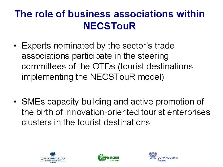 The role of business associations within NECSTou. R • Experts nominated by the sector’s