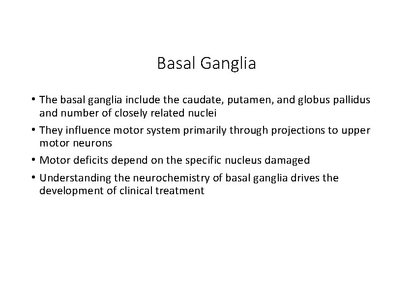 Basal Ganglia • The basal ganglia include the caudate, putamen, and globus pallidus and