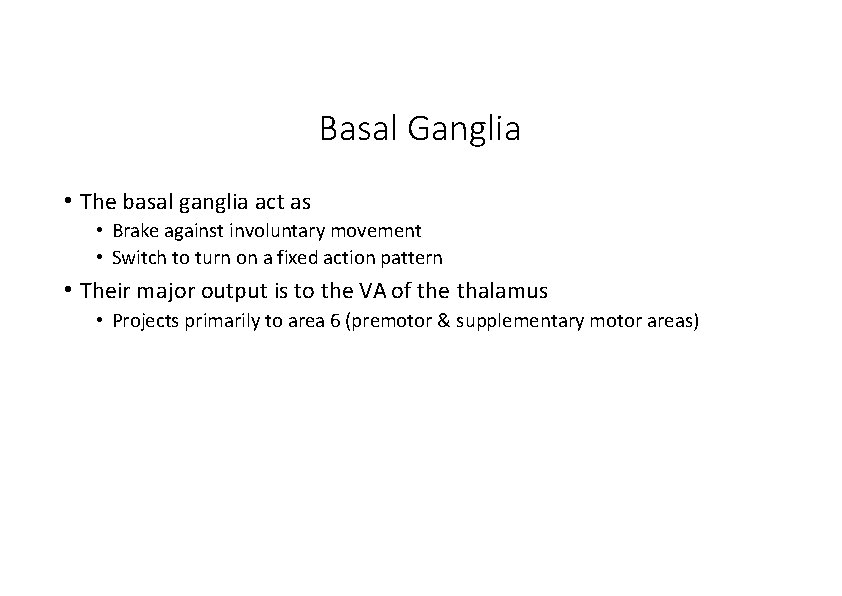 Basal Ganglia • The basal ganglia act as • Brake against involuntary movement •