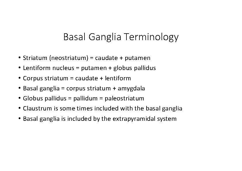 Basal Ganglia Terminology • Striatum (neostriatum) = caudate + putamen • Lentiform nucleus =
