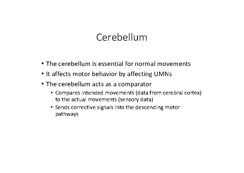 Cerebellum • The cerebellum is essential for normal movements • It affects motor behavior