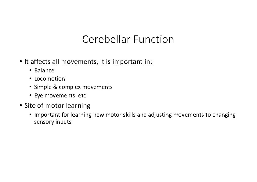 Cerebellar Function • It affects all movements, it is important in: • • Balance