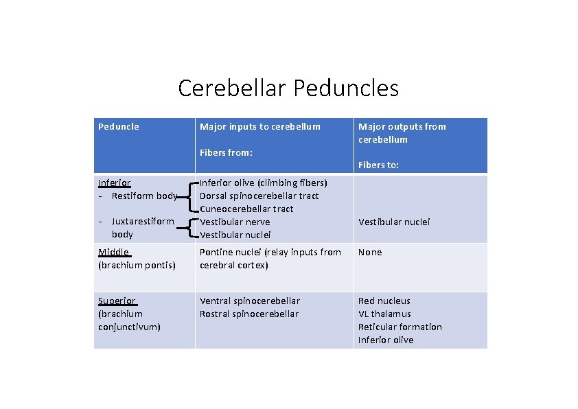 Cerebellar Peduncles Peduncle Major inputs to cerebellum Major outputs from cerebellum Fibers from: Fibers