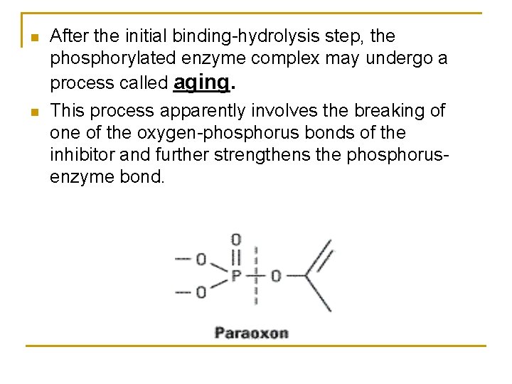 n n After the initial binding-hydrolysis step, the phosphorylated enzyme complex may undergo a