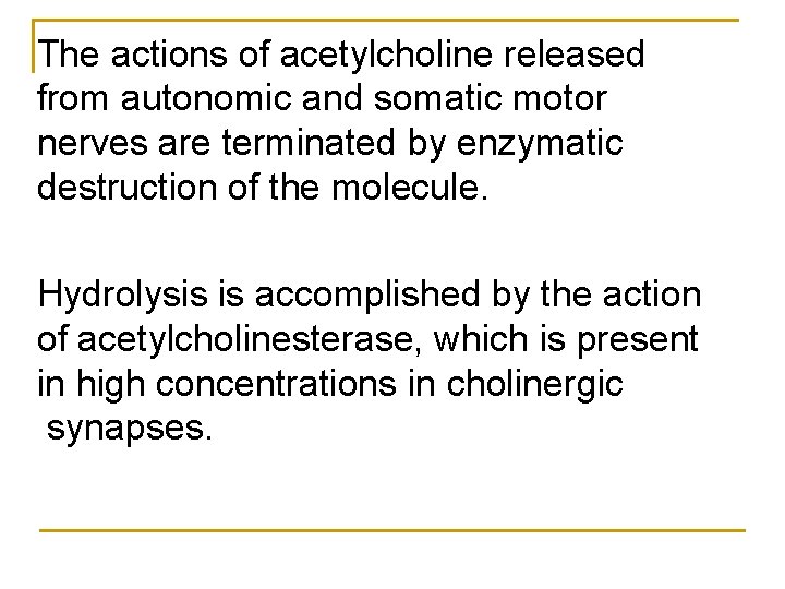 The actions of acetylcholine released from autonomic and somatic motor nerves are terminated by