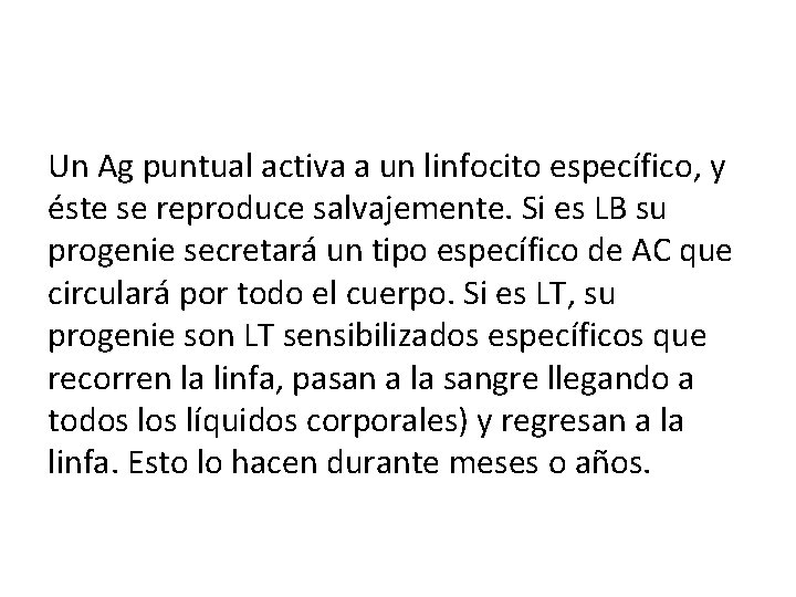 Un Ag puntual activa a un linfocito específico, y éste se reproduce salvajemente. Si