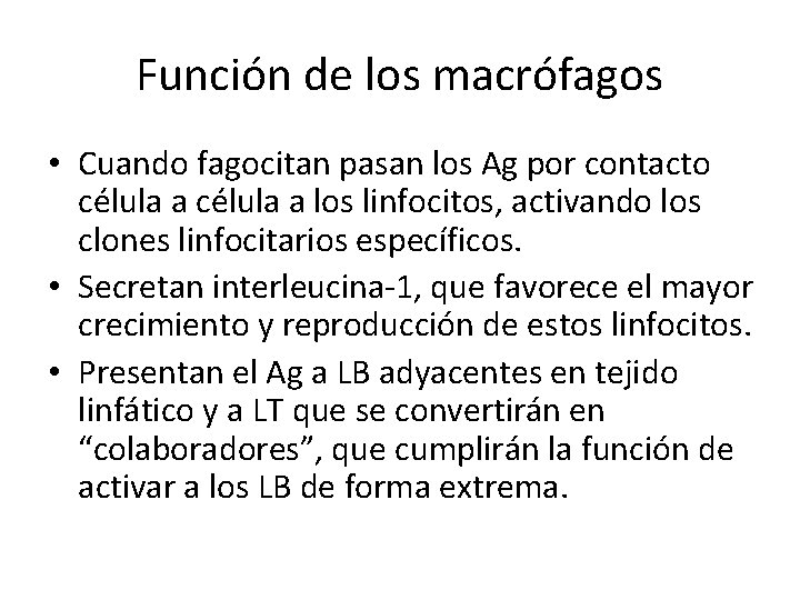 Función de los macrófagos • Cuando fagocitan pasan los Ag por contacto célula a