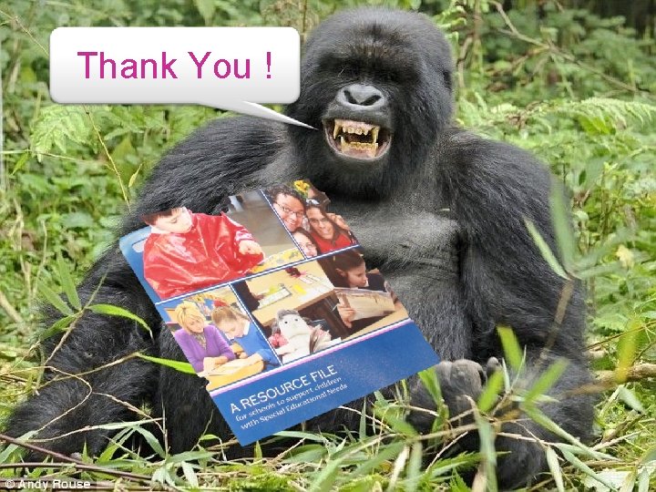 The Monkey Versus the VP Thank You ! 