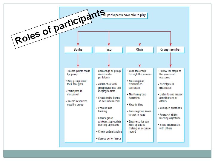 s t n ipa l o R c i t r a p f