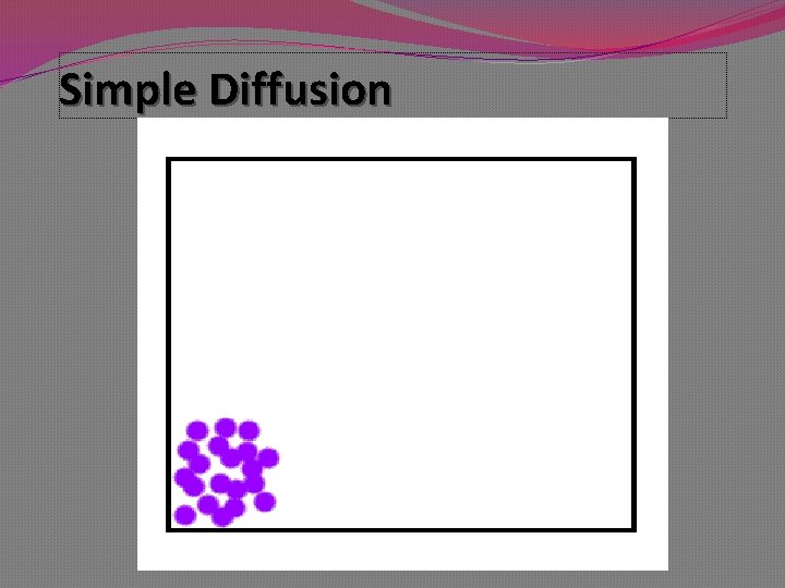 The Plasma Membrane Gateway to the Cell Cell