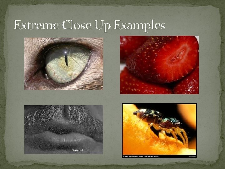Extreme Close Up Examples 