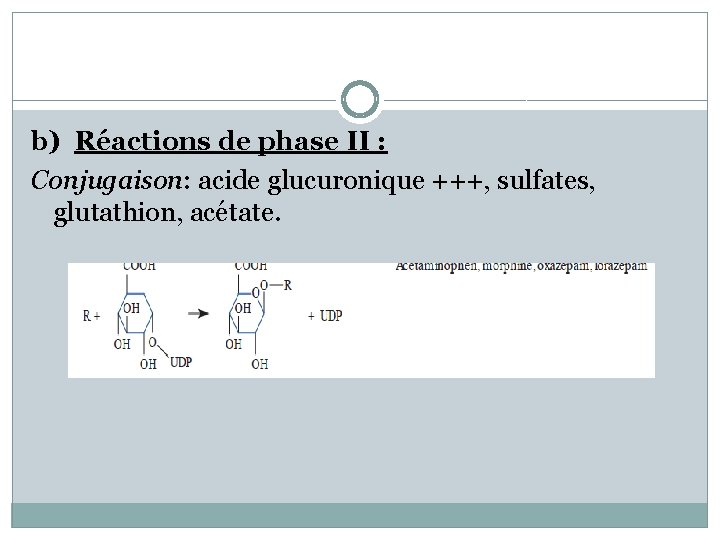 b) Réactions de phase II : Conjugaison: acide glucuronique +++, sulfates, glutathion, acétate. 