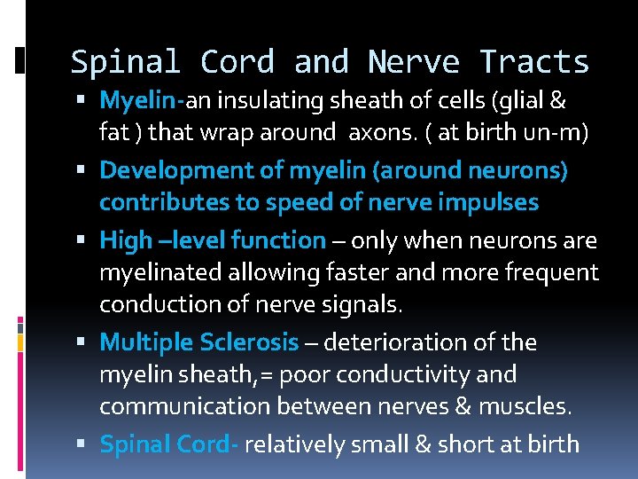 Spinal Cord and Nerve Tracts Myelin-an insulating sheath of cells (glial & fat )