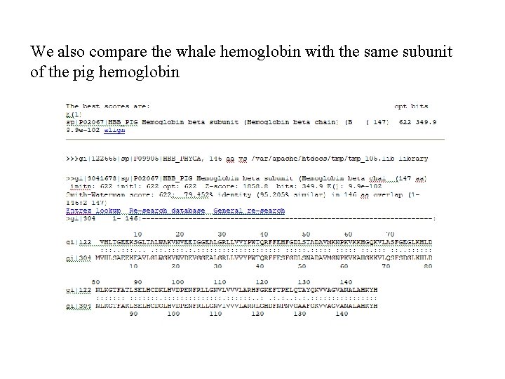 We also compare the whale hemoglobin with the same subunit of the pig hemoglobin