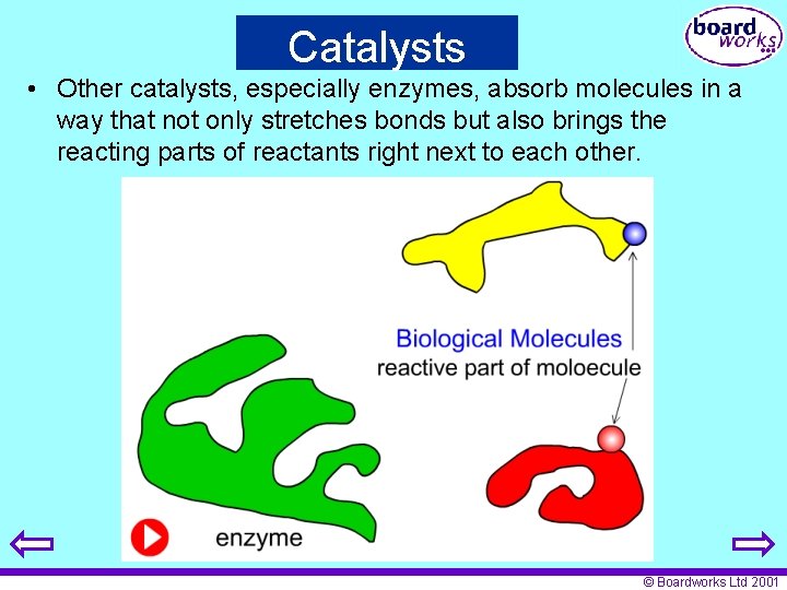 Catalysts • Other catalysts, especially enzymes, absorb molecules in a way that not only