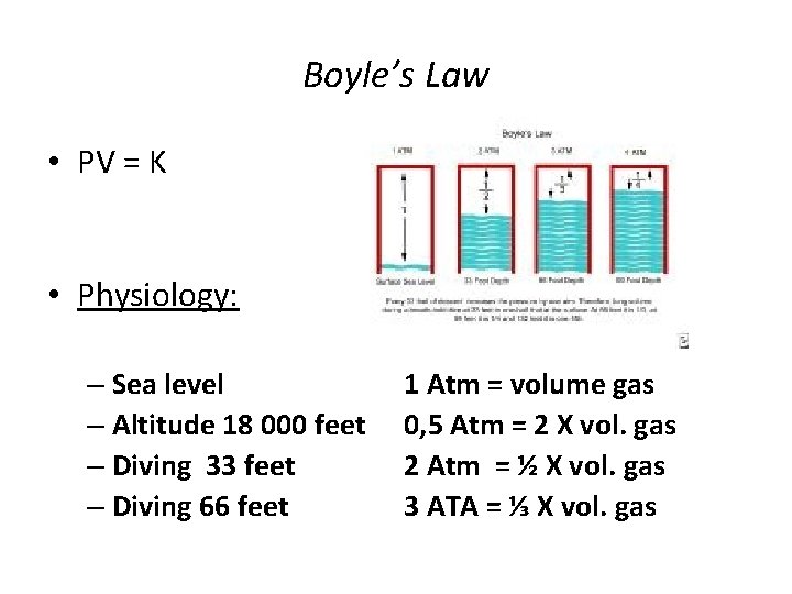 Boyle’s Law • PV = K • Physiology: – Sea level – Altitude 18