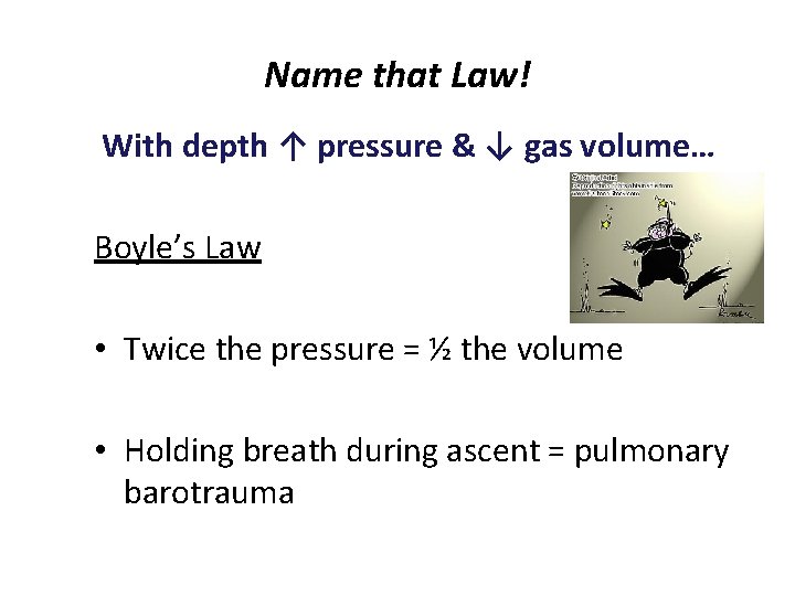 Name that Law! With depth ↑ pressure & ↓ gas volume… Boyle’s Law •