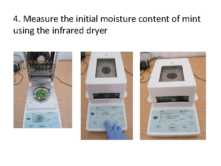 4. Measure the initial moisture content of mint using the infrared dryer 