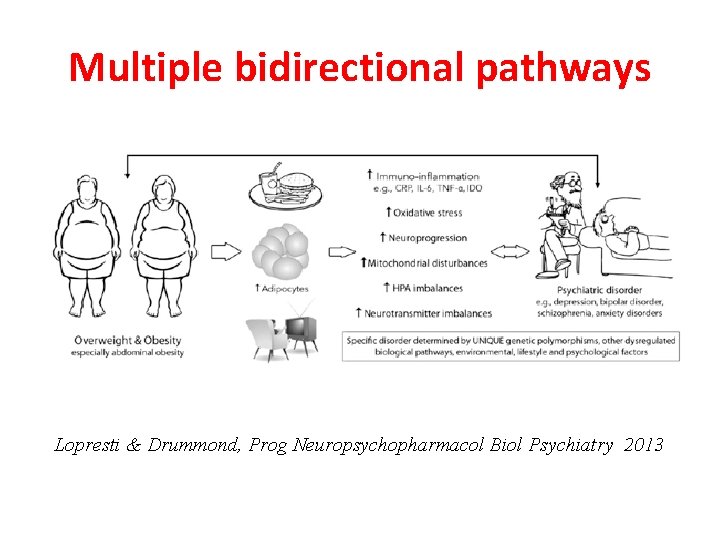 Multiple bidirectional pathways Lopresti & Drummond, Prog Neuropsychopharmacol Biol Psychiatry 2013 