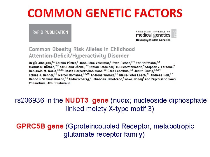 COMMON GENETIC FACTORS rs 206936 in the NUDT 3 gene (nudix; nucleoside diphosphate linked