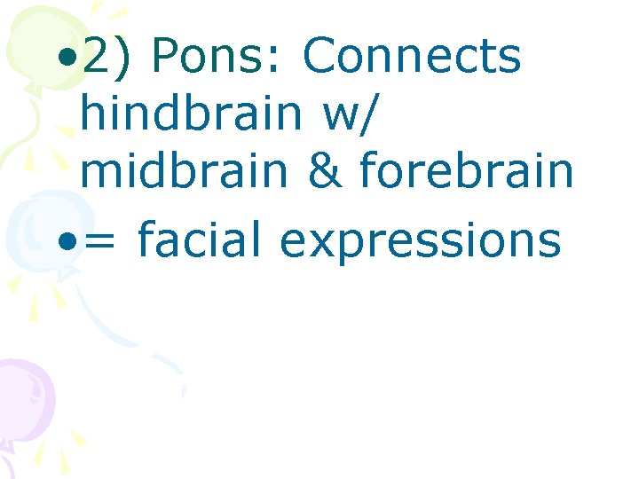  • 2) Pons: Connects hindbrain w/ midbrain & forebrain • = facial expressions