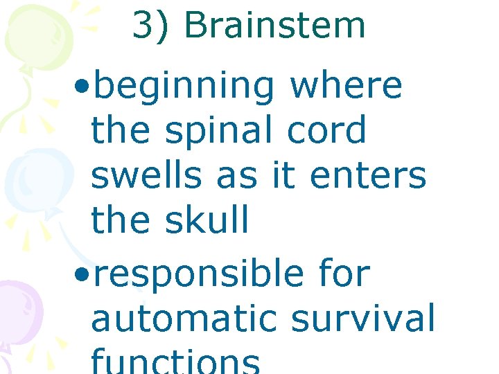 3) Brainstem • beginning where the spinal cord swells as it enters the skull