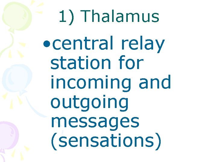 1) Thalamus • central relay station for incoming and outgoing messages (sensations) 