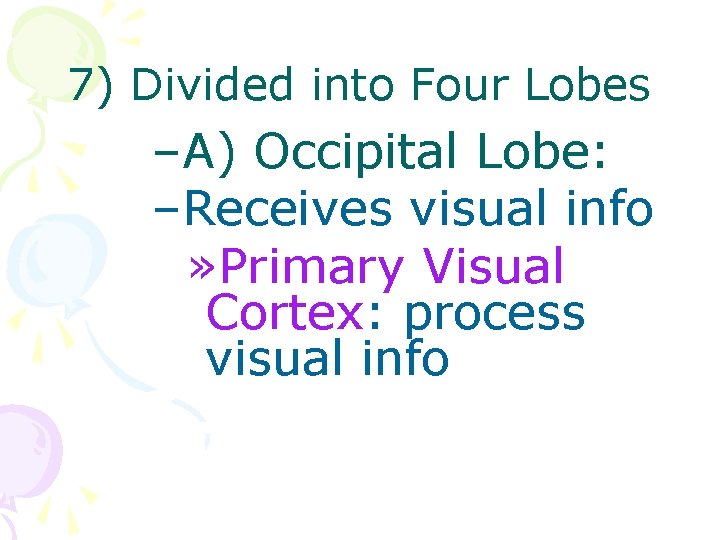 7) Divided into Four Lobes –A) Occipital Lobe: –Receives visual info » Primary Visual