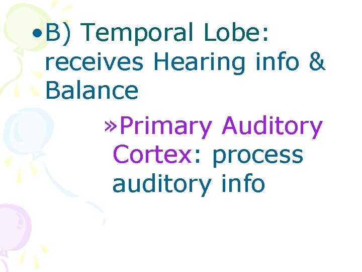  • B) Temporal Lobe: receives Hearing info & Balance » Primary Auditory Cortex: