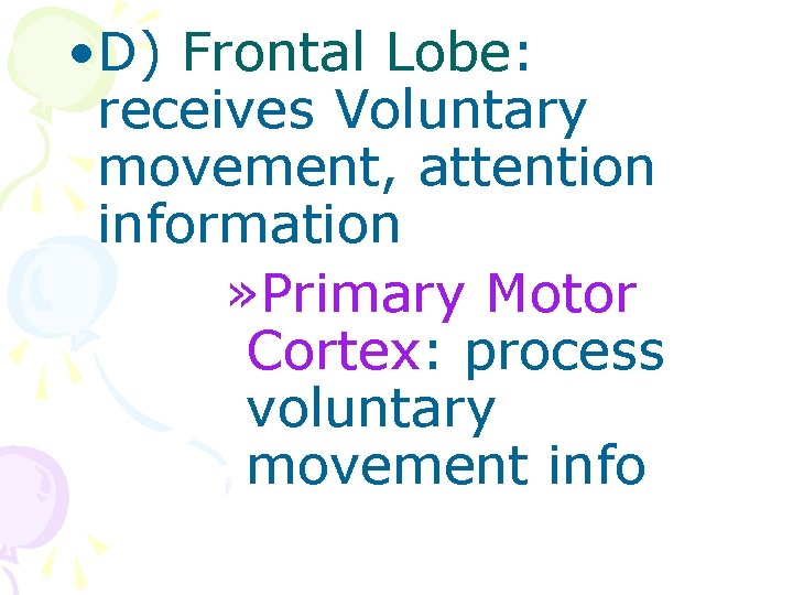  • D) Frontal Lobe: receives Voluntary movement, attention information » Primary Motor Cortex: