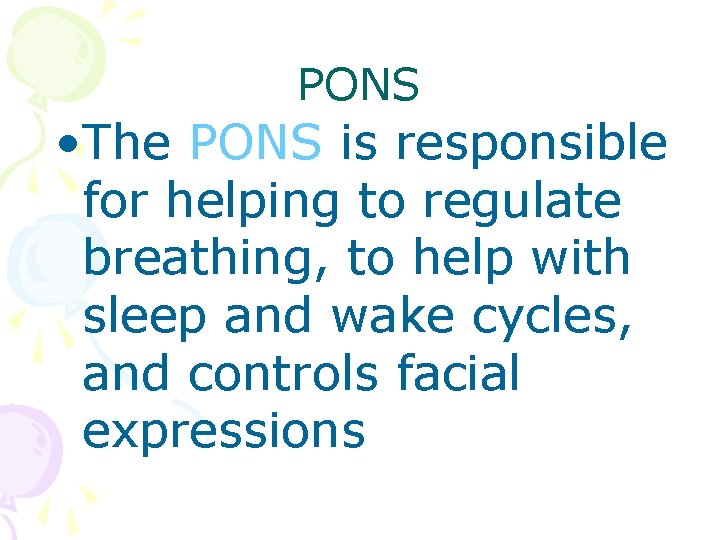 PONS • The PONS is responsible for helping to regulate breathing, to help with