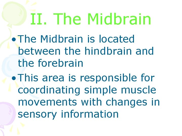 II. The Midbrain • The Midbrain is located between the hindbrain and the forebrain