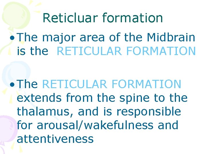 Reticluar formation • The major area of the Midbrain is the RETICULAR FORMATION •