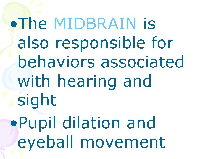  • The MIDBRAIN is also responsible for behaviors associated with hearing and sight