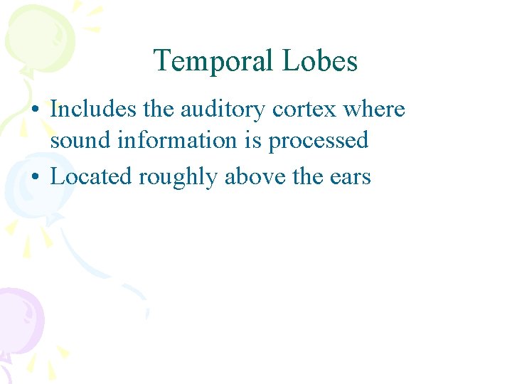 Temporal Lobes • Includes the auditory cortex where sound information is processed • Located