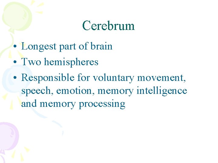 Cerebrum • Longest part of brain • Two hemispheres • Responsible for voluntary movement,