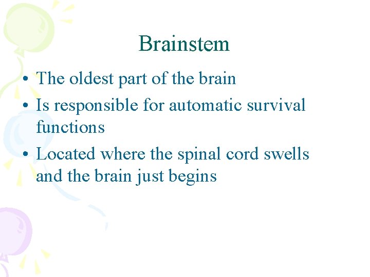 Brainstem • The oldest part of the brain • Is responsible for automatic survival