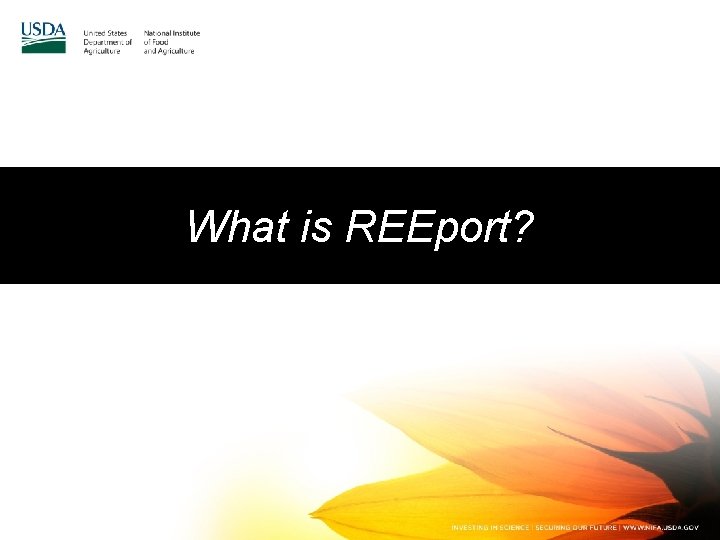 What is REEport? 