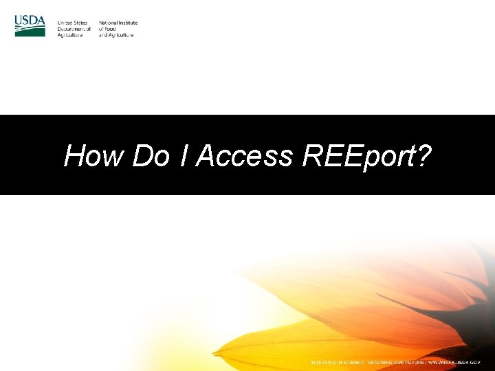 How Do I Access REEport? 