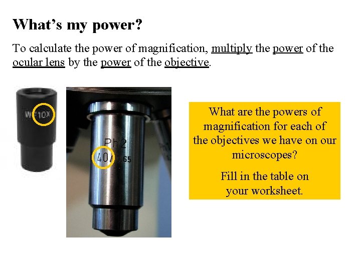 What’s my power? To calculate the power of magnification, multiply the power of the