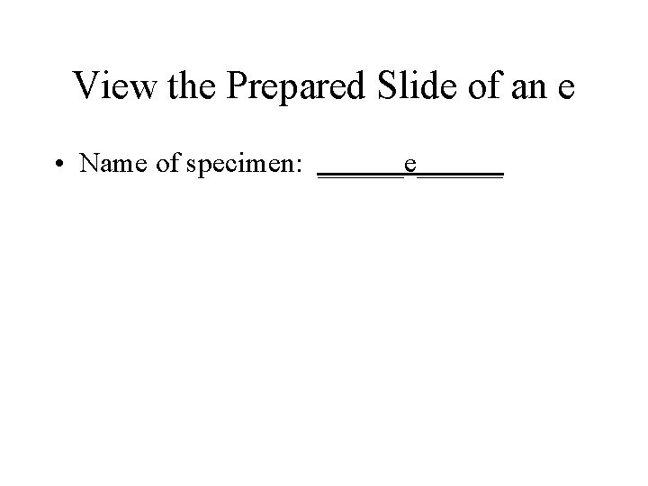 View the Prepared Slide of an e • Name of specimen: ______e______ 