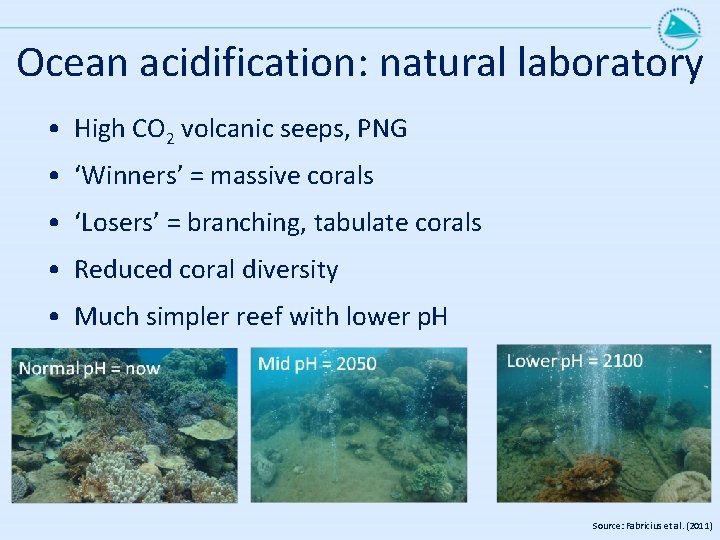 Ocean acidification: natural laboratory • High CO 2 volcanic seeps, PNG • ‘Winners’ =