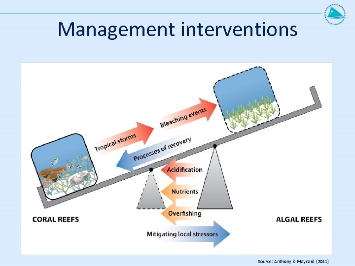 Management interventions Source: Anthony & Maynard (2011) 