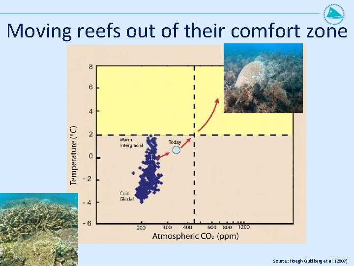 Moving reefs out of their comfort zone Source: Hoegh-Guldberg et al. (2007) 