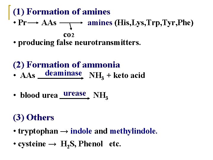 (1) Formation of amines • Pr AAs amines (His, Lys, Trp, Tyr, Phe) co