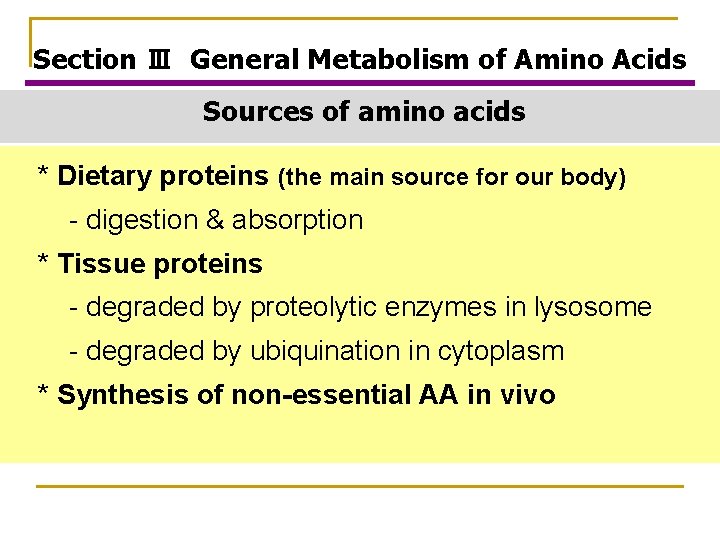 Section Ⅲ General Metabolism of Amino Acids Sources of amino acids * Dietary proteins