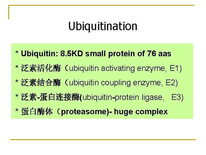 Ubiquitination * Ubiquitin: 8. 5 KD small protein of 76 aas * 泛素活化酶（ubiquitin activating