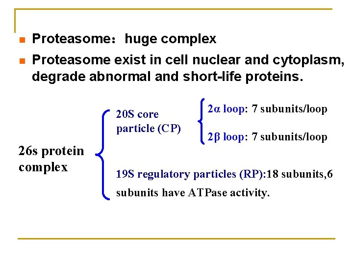 n Proteasome：huge complex n Proteasome exist in cell nuclear and cytoplasm, degrade abnormal and